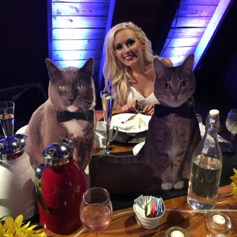 Puede incluir: Dos gatos con pajaritas est&aacute;n sentados en una mesa con una mujer. Los gatos son recortes de cart&oacute;n. La mesa est&aacute; puesta con vasos, una botella de agua y un plato de pastel.
