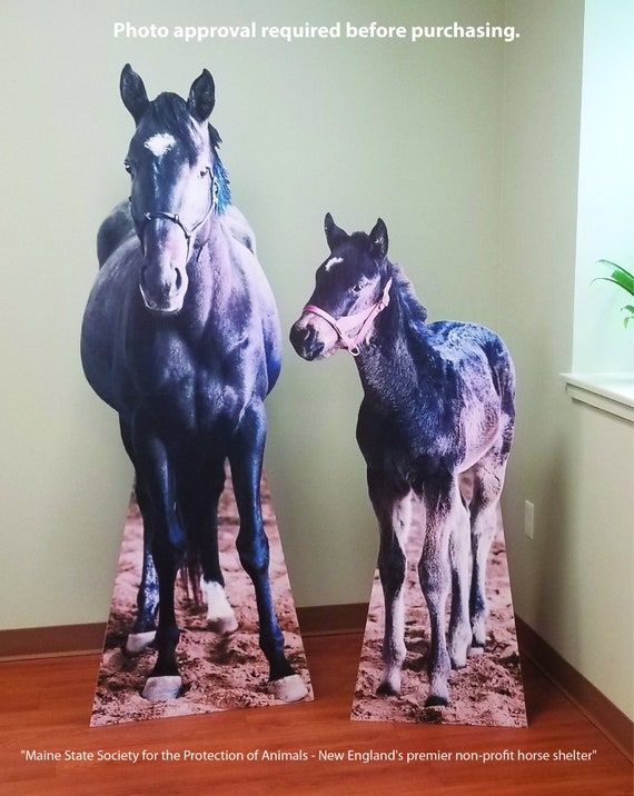 Life Size Cardboard Cutouts Created From High Resolution Etsy