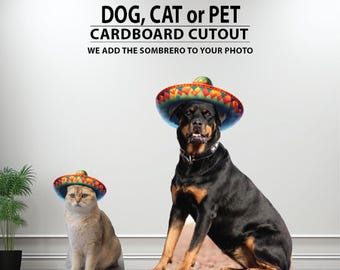 Dog Cat or Pet cardboard cutout we will add the Sombrero, easel on the back