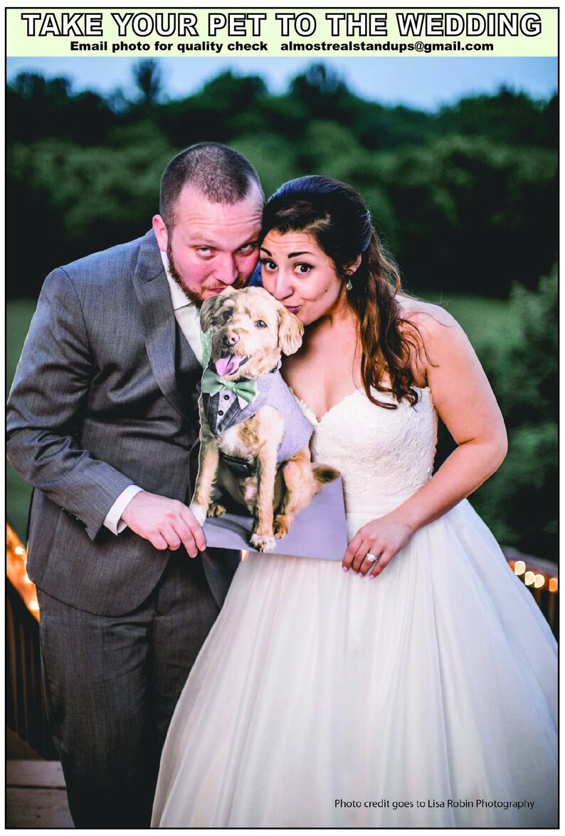 Custom cardboard cutouts cardboard dog or cardboard pet or Etsy