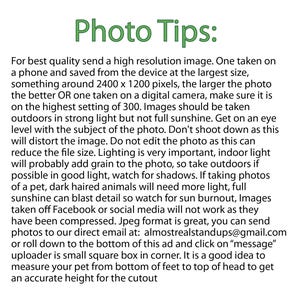 Puede incluir: Consejos para tomar fotos de alta resoluci&oacute;n para un servicio de recorte. El texto recomienda tomar fotos al aire libre con luz fuerte, pero no con el sol directo, y a la altura de los ojos del sujeto. Tambi&eacute;n aconseja no editar las fotos, ya que esto puede reducir el tama&ntilde;o del archivo y agregar grano. El texto tambi&eacute;n recomienda usar el formato JPEG y enviar las fotos a la direcci&oacute;n de correo electr&oacute;nico almostrealstandups@gmail.com.