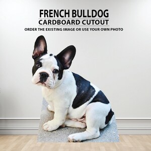 Figura de cartón personalizada de perro a tamaño real para fotos. imagen 14