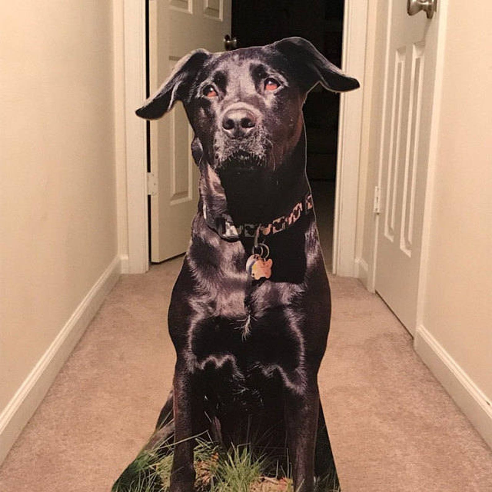 Custom cardboard cutouts cardboard dog or cardboard pet or Etsy