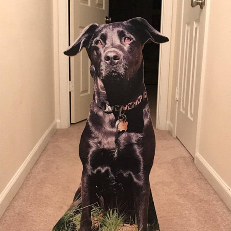 Custom Dog Cardboard Cutouts. Wedding props or gifts for Etsy