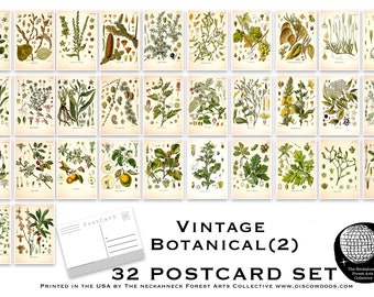 Botanical Postcard Set(2) - Set of 32 Postcards - Vintage - Nature - Scrapbooking Post Cards - plant drawings - Natural Wonders