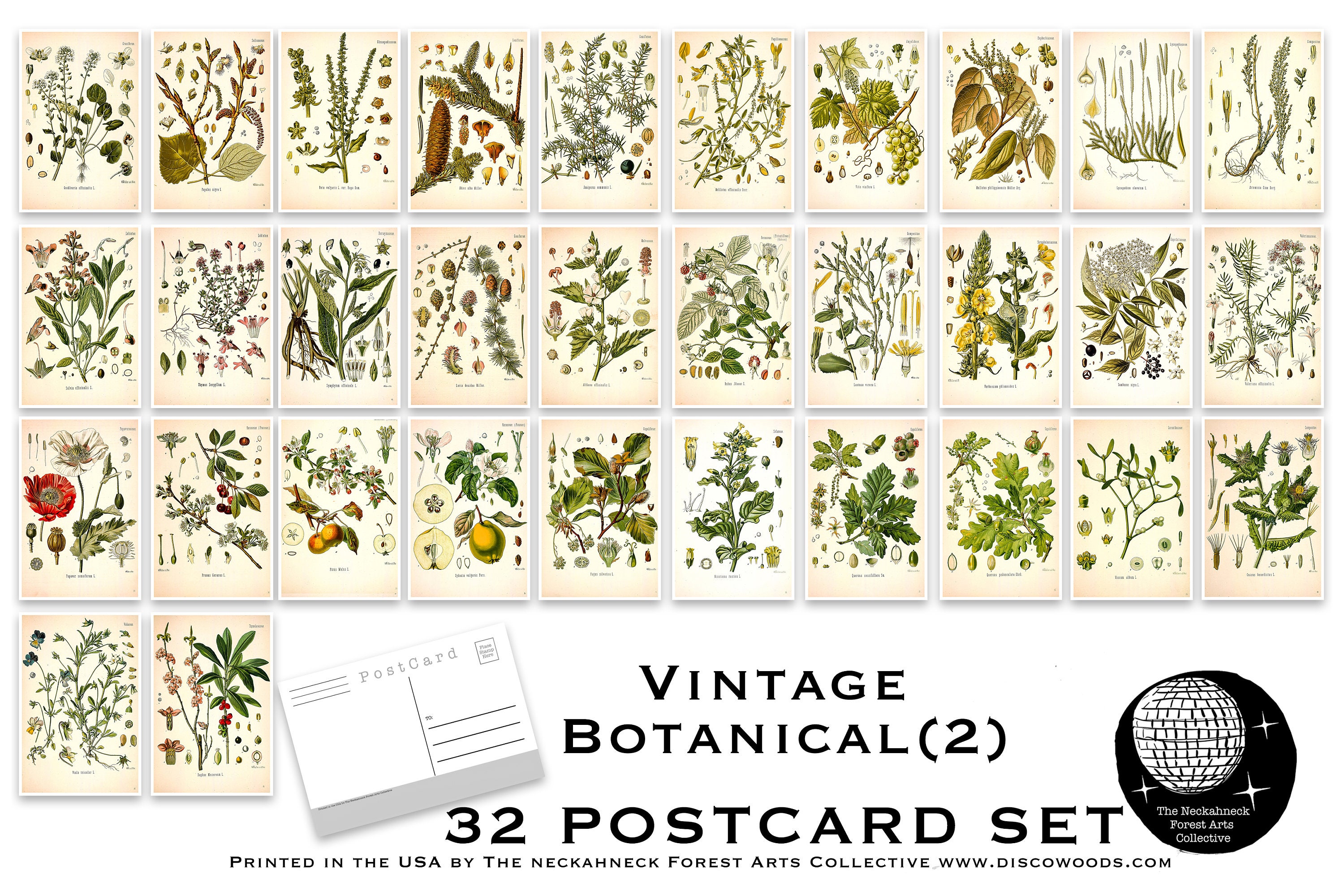 Botanical Postcard Set - Set of 26 Postcards - Vintage - Nature - Scra –  The NeckahNeck Forest Arts Collective