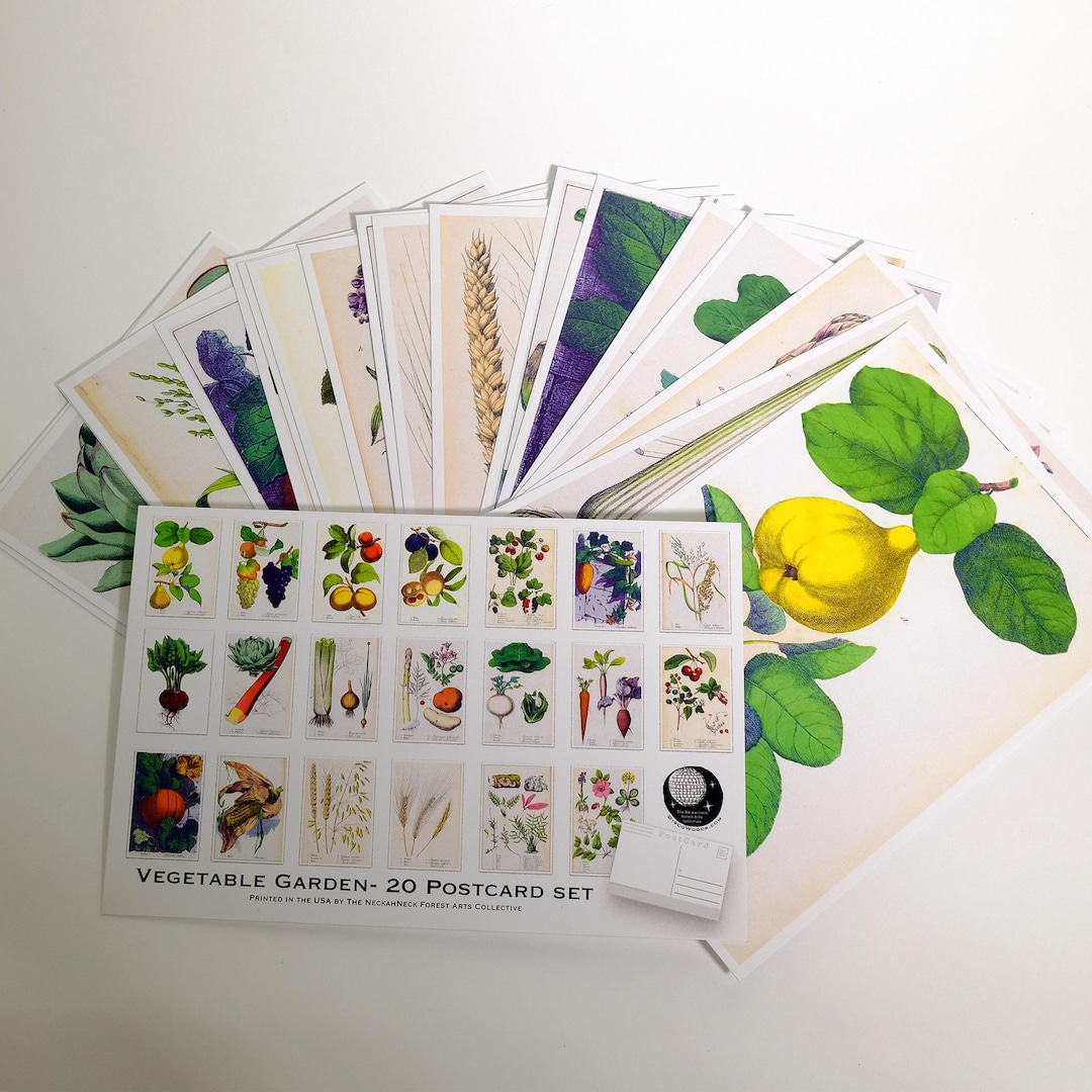 Vintage Botanical Postcards: Vegetable Garden Art Prints, Set of 20 - Etsy