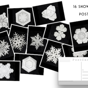 Sailor Bentley Snowflakes - Set mit 16 Postkarten - Vintage - Natur - Scrapbooking Postkarten ideal für den Winter