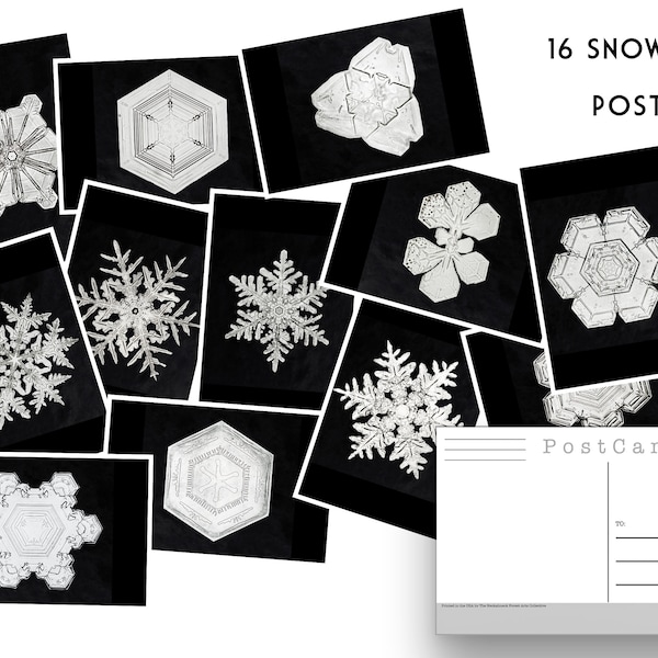 Wilson Bentley Snowflakes - Set of 16 Postcards - Vintage - Nature - Scrapbooking Post Cards great for winter