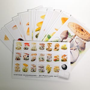 Vintage postkaartenset met paddestoelen - set van 20 ansichtkaarten - 20 ansichtkaarten met botanische kunstprint - vintage botanisch - planttekeningen - natuurlijke wonderen