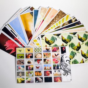Hühner - Postkarten Set - 31 Postkarten - Huhn Art - Scrapbooking