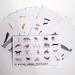 Wrong Animals Postcard Set - Set of 20 Postcards - Imaginary Animals -  Scrapbooking Post Cards - Funny - Fun for kids of all ages