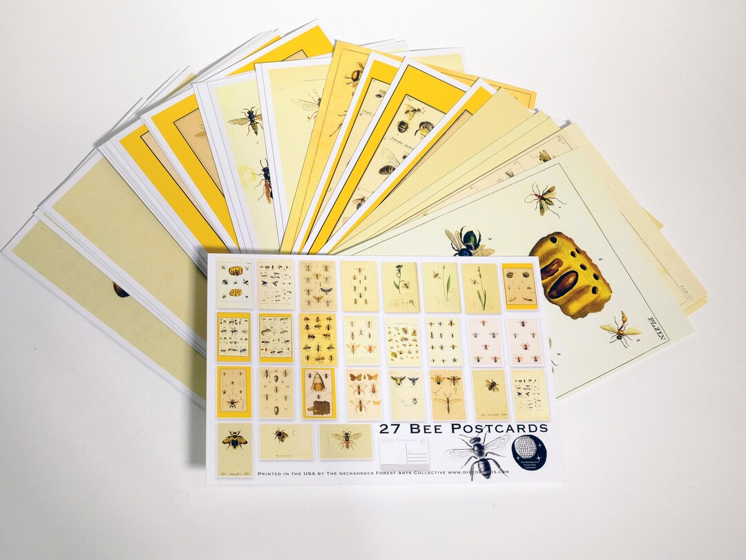 Vintage Bee Postcard Set - Nature Illustration, Scrapbooking (27 Cards ...