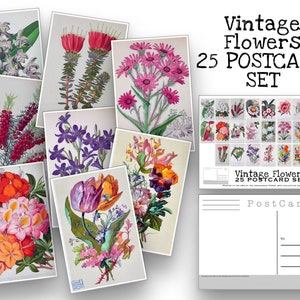 Vintage Flower Postcard Set - Set of 25 Postcards - Floral Illustrations - Nature - Scrapbooking Post Cards - Natural Wonders - botanical