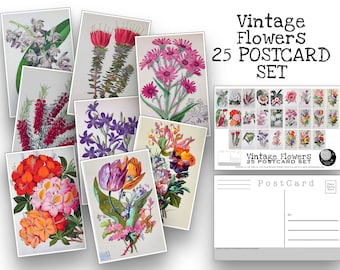 Vintage Flower Postcard Set - Set of 25 Postcards - Floral Illustrations - Nature - Scrapbooking Post Cards - Natural Wonders - botanical