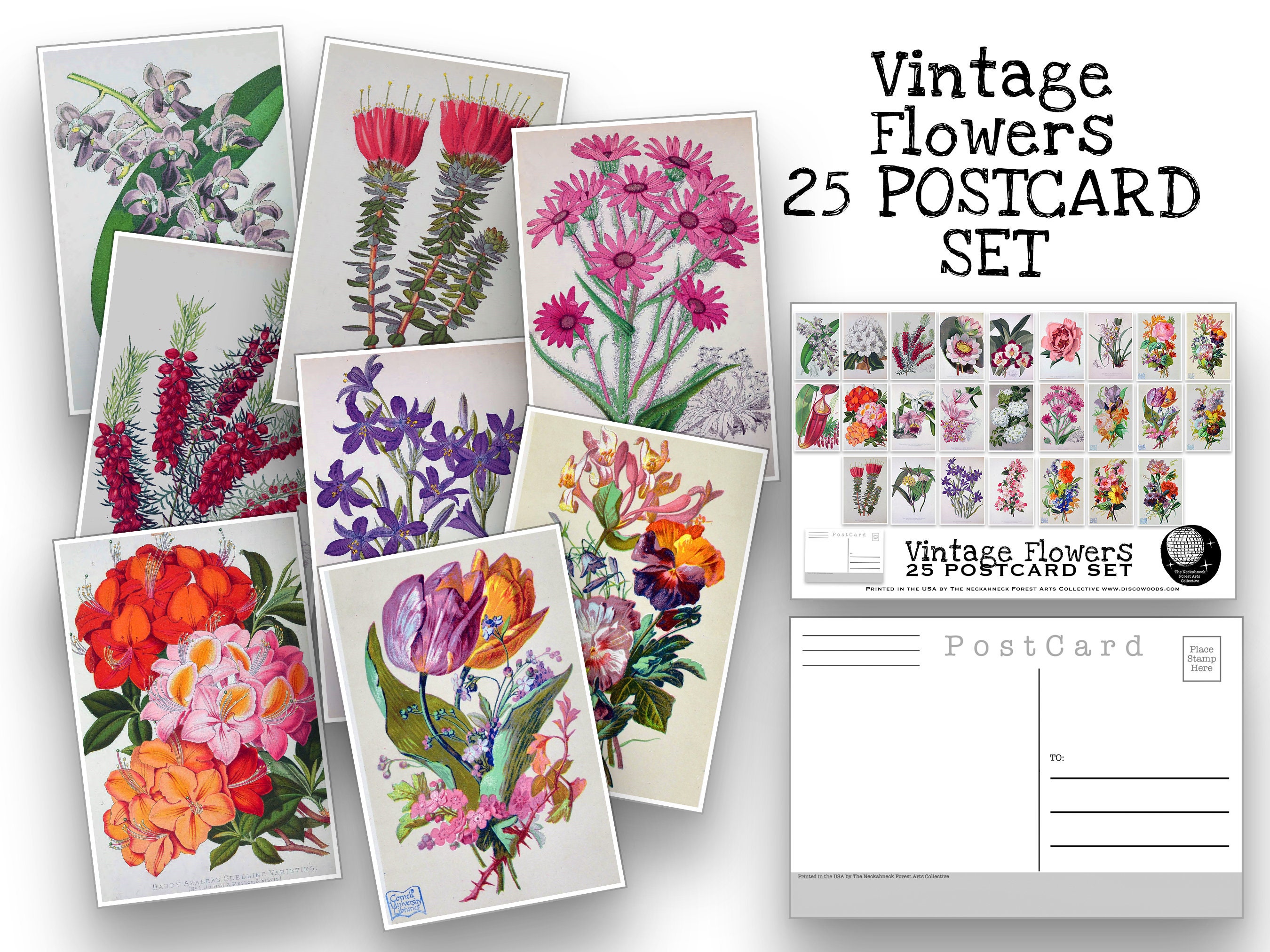 Vintage Flower Postcard Set Set of 25 Postcards Floral Etsy