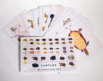 Postales vintage con ilustraciones de tortugas - Juego de 25