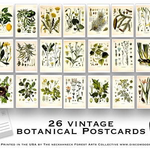 Botanical Postcard Set - Set of 26 Postcards - Vintage - Nature - Scrapbooking Post Cards - plant drawings - Natural Wonders