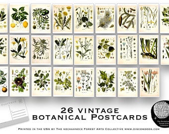 Botanical Postcard Set - Set of 26 Postcards - Vintage - Nature - Scrapbooking Post Cards - plant drawings - Natural Wonders