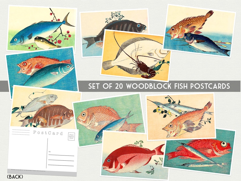 May include: Set of 20 vintage-style postcards featuring colorful woodblock prints of various fish. The postcards are blank on the back and ready for writing.