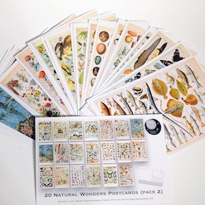 Natural Wonders Postkarten Set(2) - Set mit 20 Postkarten - Vintage - Natur - Scrapbooking Postkarten ideal für Collagen
