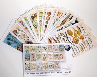 Natural Wonders Postcard Set(2) - Set of 20 Postcards - Vintage - Nature - Scrapbooking Post Cards great for collage