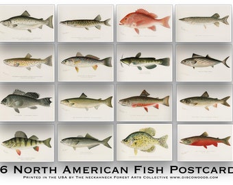 Lot de 16 cartes postales poisson d'Amérique du Nord - pêche - extérieur - nature - cartes postales - art mural - scrapbooking