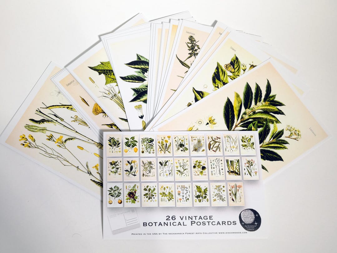 Vintage Botanical Postcard Set - Plant Drawings, Natural Wonders (set ...