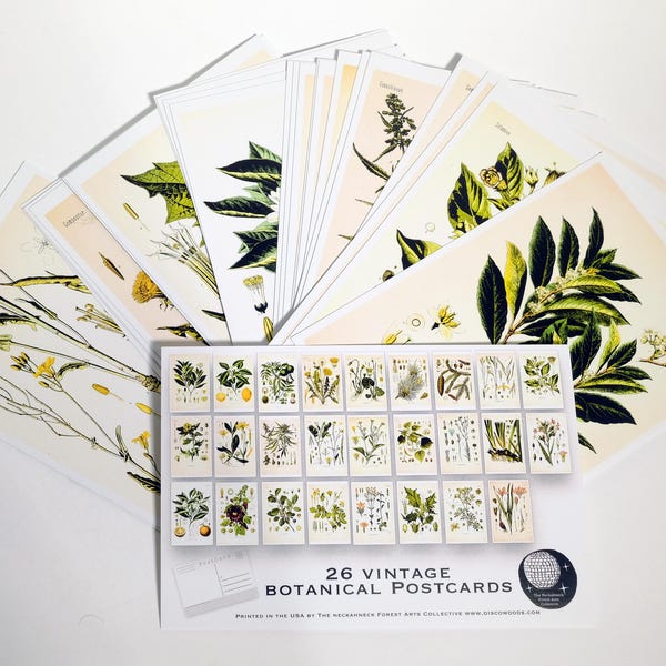 Vintage Botanical Postcard Set - Plant Drawings, Natural Wonders (Set of 26)