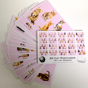 101 Katzenrassen Postkarten Set - 20 Illustrierte Katzen Kunstdruck Postkarten -20 Postkarten Set - Scrapbooking - Briefe schreiben