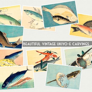 May include: A collection of vintage Japanese woodblock prints depicting various types of fish. The prints are in a traditional style with vibrant colors and intricate details. The fish are depicted in a variety of poses, some swimming, some resting, and some being prepared for a meal. The prints are a beautiful example of Japanese art and culture.