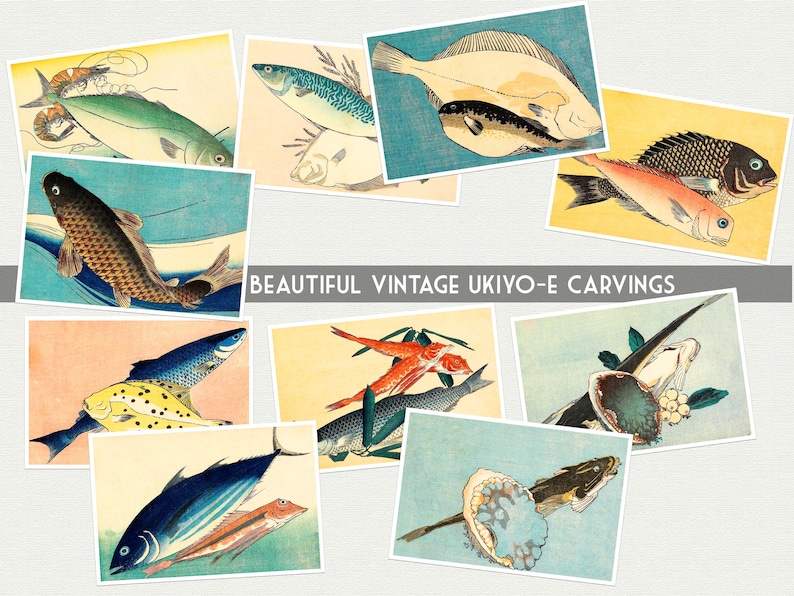 May include: A collection of vintage Japanese woodblock prints depicting various types of fish. The prints are in a traditional style with vibrant colors and intricate details. The fish are depicted in a variety of poses, some swimming, some resting, and some being prepared for a meal. The prints are a beautiful example of Japanese art and culture.
