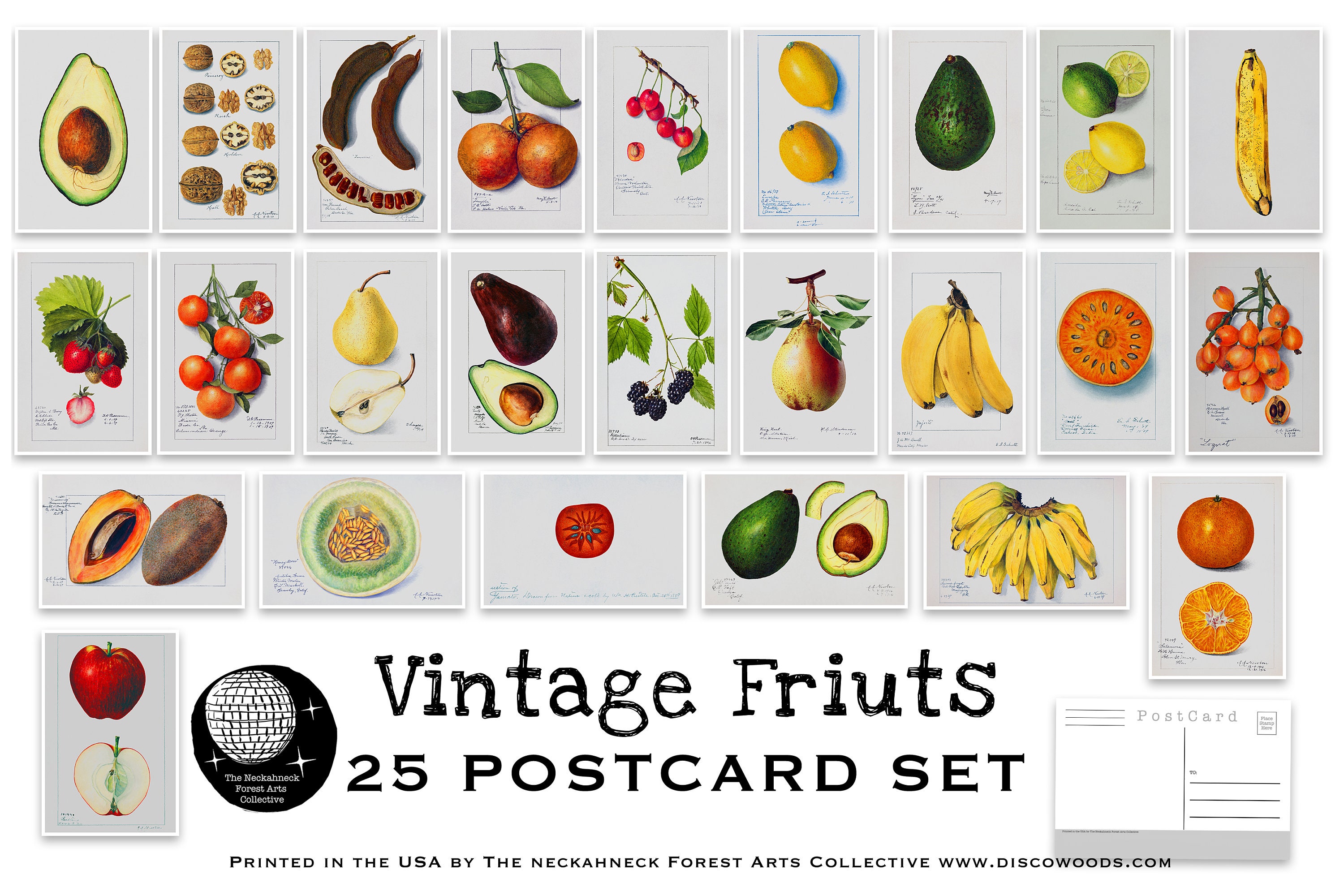 Vintage Fruits Postcard Set Set of 25 Postcards Vintage Etsy UK