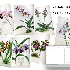 Lot de cartes postales vintage orchidées neuves - lot de 23 cartes postales - illustrations d'orchidées - nature - cartes postales de scrapbooking - merveilles naturelles - botanique