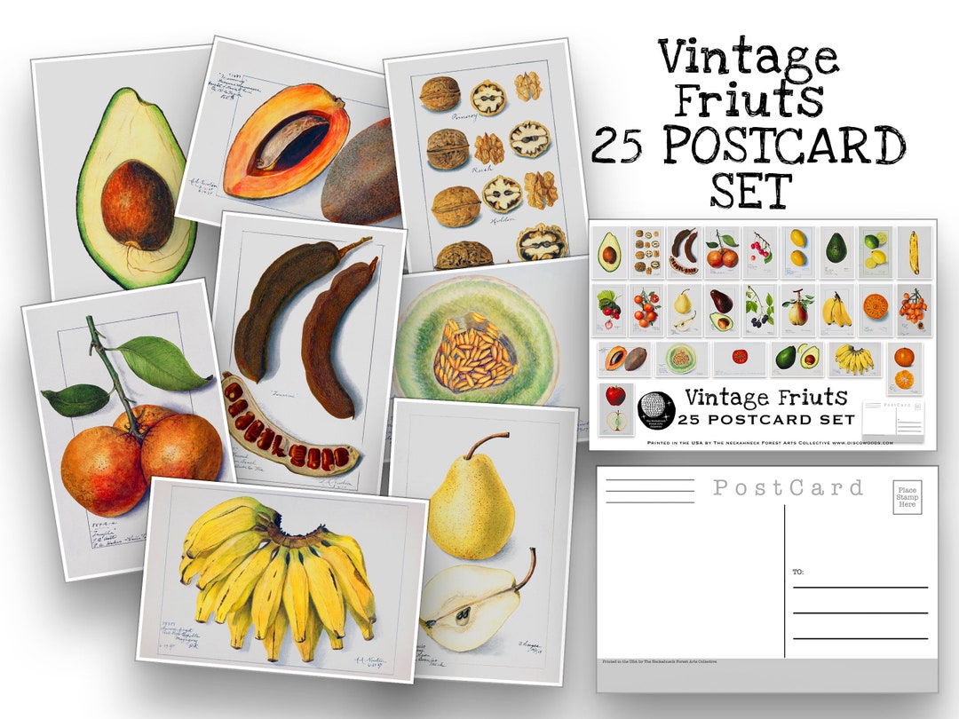 Vintage Fruits Postcard Set Set of 25 Postcards Vintage Botany