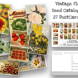 Vintage Seed Packet Postcard Set - Set of 27 Postcards - Vintage - Nature - Scrapbooking Post Cards - Flower Drawings - Natural Wonders