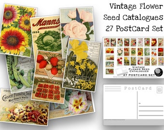 Lot de 27 cartes postales vintage graines - lot de 27 - vintage - nature - cartes postales de scrapbooking - dessins de fleurs - merveilles naturelles