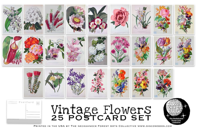 Vintage Flower Postcard Set Set of 25 Postcards Floral Etsy