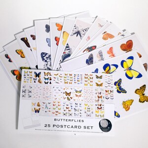 Schmetterling Postkarten Set - 25 Postkarten - Vintage Schmetterling Illustrationen - Natur - Scrapbooking Postkarten - Naturwunder