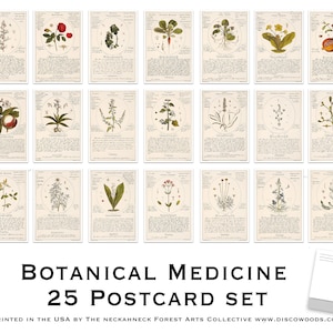 Plant Medicine Postcard Set - Set of 25 Postcards - Vintage - Botanical - Scrapbooking Post Cards - plant drawings - Natural Medicine