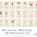 see more listings in the Natural World Postcards section