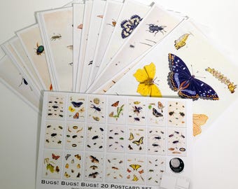 Vintage Bug Postcards: Butterfly & Beetle Art Prints - Set of 20