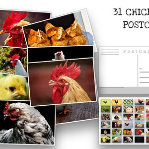 Chickens - Postcard set - 31 post cards - Chicken Art - Scrapbooking