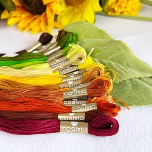 FLOSS PACK Sunburst Cosmo embroidery floss bundle image 1