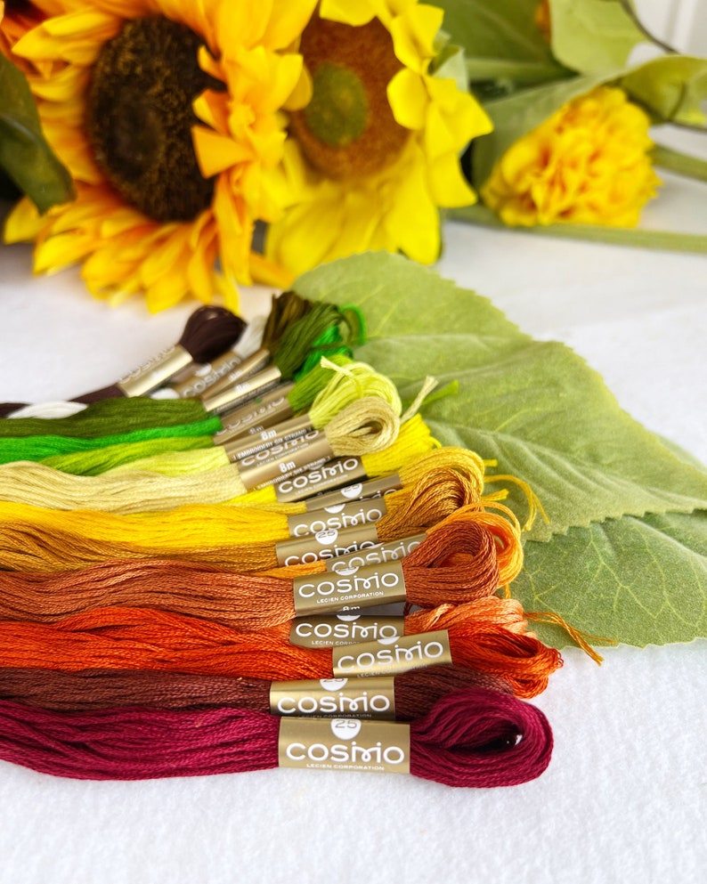 FLOSS PACK Sunburst Cosmo embroidery floss bundle image 1