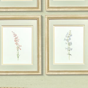 Collection of Vintage Watercolor Botanical Art Prints, Wild Flowers on Watercolor Paper, Antique Gold Gilded Frames, Great Gift for Her