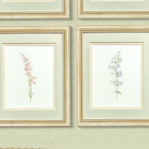Stampe d'arte botanica vintage ad acquerello, fiori selvatici su carta per acquerello, regalo antico per lei