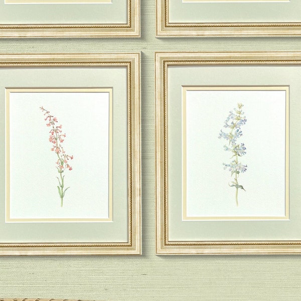 Sammlung von Vintage Aquarell botanische Kunstdrucke, Wilde Blumen auf Aquarellpapier, antikes Gold vergoldete Rahmen, tolles Geschenk für Sie