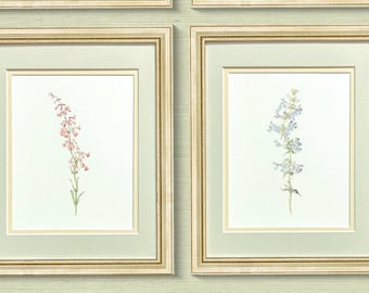Collection of Vintage Watercolor Botanical Art Prints, Wild Flowers on Watercolor Paper, Antique Gold Gilded Frames, Great Gift for Her