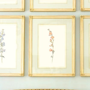 Sammlung Vintage-Botanischer Drucke, Set mit 12 antiken Botanischen Drucken, rustikale botanische Wandkunst, florale Kunstdrucke, Aquarell-Blumen